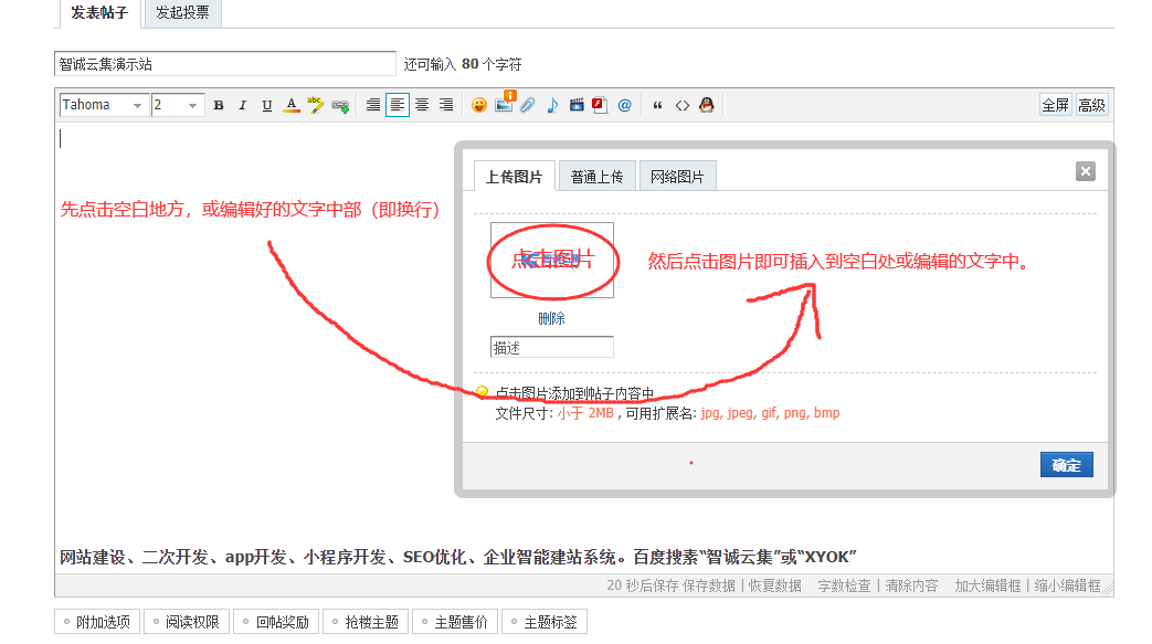图片[3]-发帖编辑器使用和各项功能设置-智诚云集